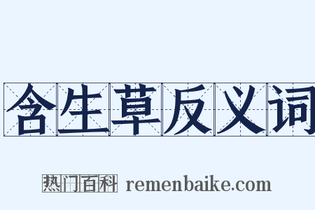 含生草反义词是什么意思的图片